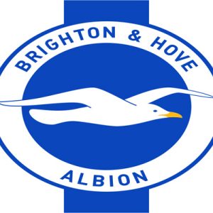 Brighton & Hove Albion Football club The Rise of a Premier League